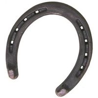 9011826 - HORSESHOE HEELED BRONCO