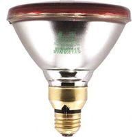 9043001 - 100WPAR38 RED FLOOD LAMP