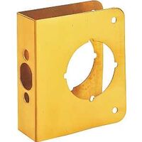 Door Reinforcer, Polished Brass