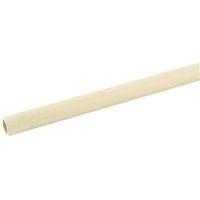 9108754 - 1/2X10 CPVC PIPE