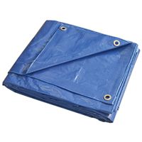 9112673 - 8X10 MEDIUM DUTY BLUE TARP