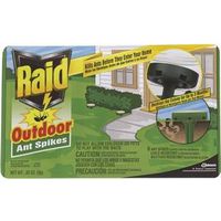 raid outdoor ant spikes