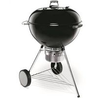 9191784 - ONE TOUCH GOLD CHARCOAL 26.75