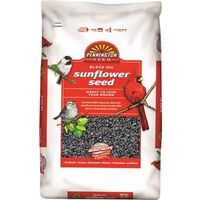 Black Oil Sunflower Seed Wild Bird Food, 50lb