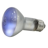 9279944 - 45W R20 DAYLIGHT REFLECTOR 1PK