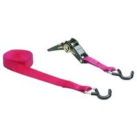 14 Ratchet Tie Down with Hooks  