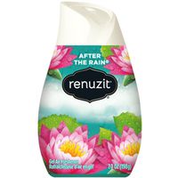 9396854 - RENUZIT AFTER THE RAIN