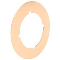 9414459 - BACK PLATE 3-1/2IN BRS