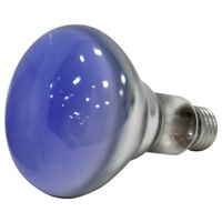 Day Light Reflector Bulb, 65 Watt