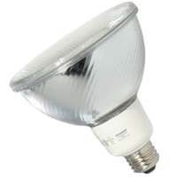 Compact Fluorescent Light Bulb, 75W