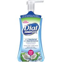 Dial Complete 1707053 Anti-Bacterial Foaming Hand Wash