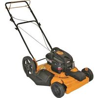 9516501 - MOWER B&S 22IN FRONT DRIVE SP
