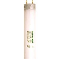 Cool White Fluorescent Light Bulb, 48in. 2 Pk