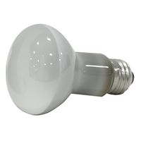 9540451 - 45R20 INDOOR REFL FLOOD LAMP