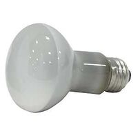 Indoor Reflector Floodlight Bulb, 45W 2 Pk