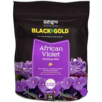 9586629 - BLCK GLD AFRCAN VIOLET MIX 8QT