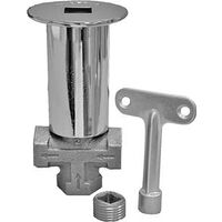 Combo Log Lighter Valve, Chrome