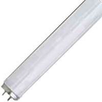 fluorescent cool white bulb, 30 watt