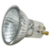 halogen flood light bulb, 120v