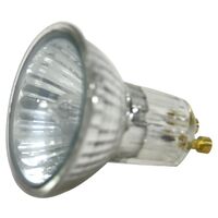 Halogen Flood Light Bulb, 120V
