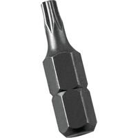 Torx Screwdriver Bit, #T15 x 1in.