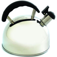 6 cup tea kettle       