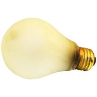 Rhinocoat Safeline Bulb, 100 Watt