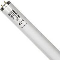 Fluorescent Cool White Supersaver Bulb, 34 Watt