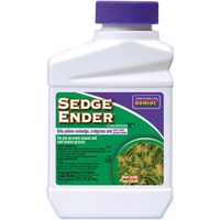 9835646 - SEDGE ENDER PINT CONCENTRATE