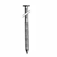 two ring coil siding nails, 2in.