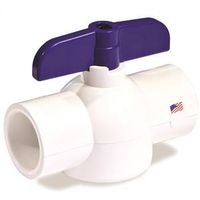 ball valve, 2in.