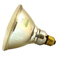 outdoor incandescent flood bulb, 65 watt par38
