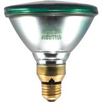 9938432 - 100WPAR38 GREEN FLOOD LAMP