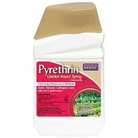 0143925 - PYRETHRIN CONCENTRATE PINT