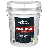 Valspar 11911 Professional Latex Paint