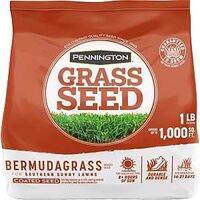 SEED GRASS BERMUDA 1LB        