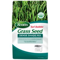 SEED GRASS DENSE SHADE MIX 3LB