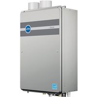 Rheem / Richmond RMTGH-95DVLN Water Heater