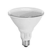 LIGHT BULB MTN PAR38 5CCT 100W