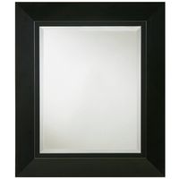 MIRROR FRM BLK 23-1/2X27-1/2IN