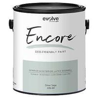 INTR PAINT EGSHL SLVR SAGE 1GA