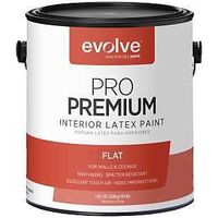 INTR LTX PAINT FLT CEIL WH 1GA