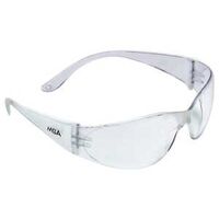 MSA 10049166 Safety Glasses
