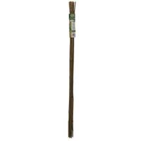 STAKE PLANT 4FT BMBO GRN