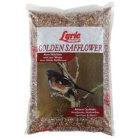 Lyric 26-47430 Safflower Bird Feed