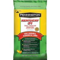 Pennington Seed 100516050 Kentucky 31 Grass Seed