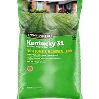 SEED GRS TALL FESCUE KY31 50LB