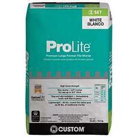 TILE MORTAR LRG FRMT WHITE30LB
