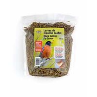1712736 - BIRD FOOD MAGGOT