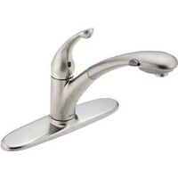 Delta Signature Pull-Out Kitchen Faucet